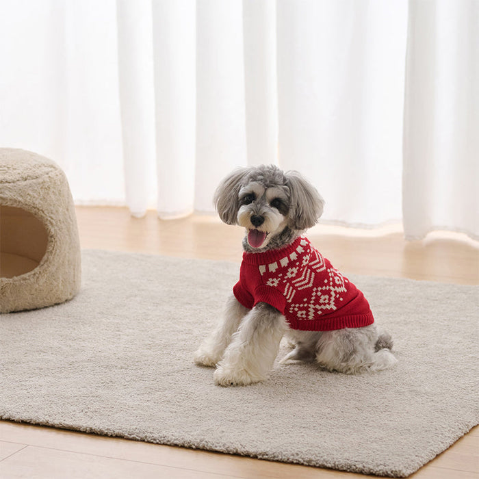 Pet knitwear