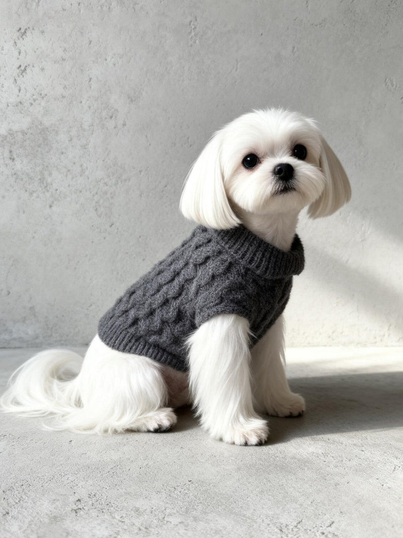 Solid Cable Knit Pet Sweater | Custom OEM/ODM Manufacturer