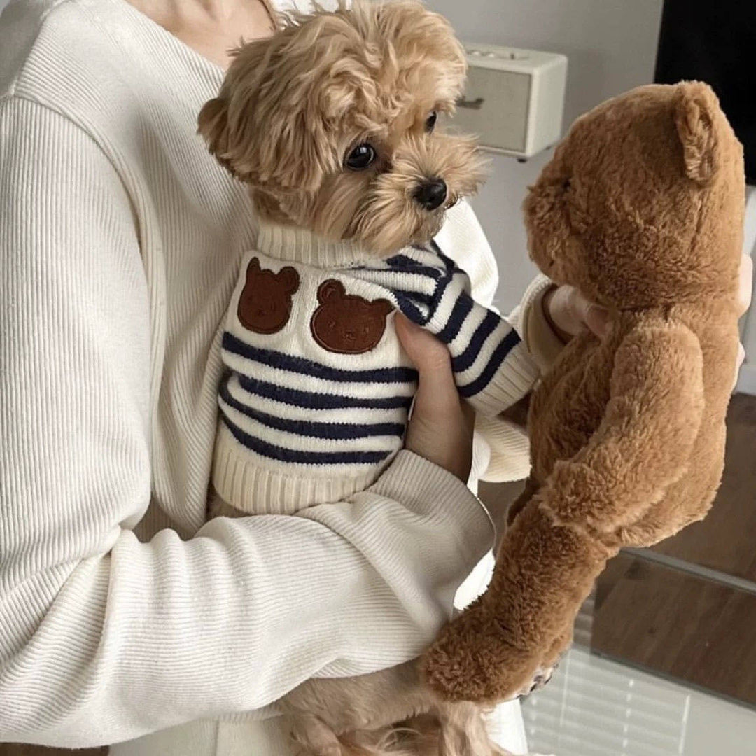 Lightweight Korean Style Pet Knit Sweater | OEM/ODM Available