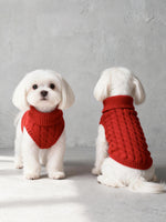 Load image into Gallery viewer, Solid Cable Knit Pet Sweater | Custom OEM/ODM Manufacturer