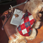 Load image into Gallery viewer, Preppy Red Christmas Pet Sweater | OEM Manufacturing