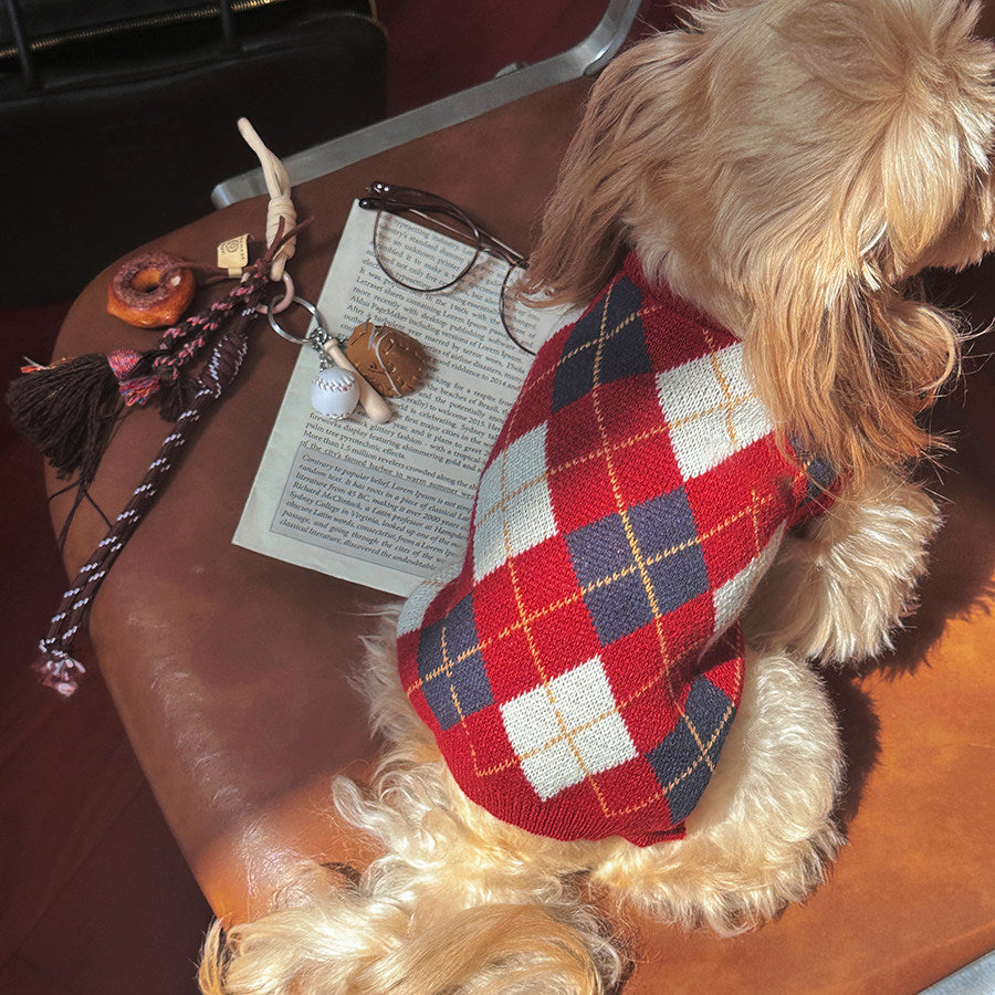 Preppy Red Christmas Pet Sweater | OEM Manufacturing