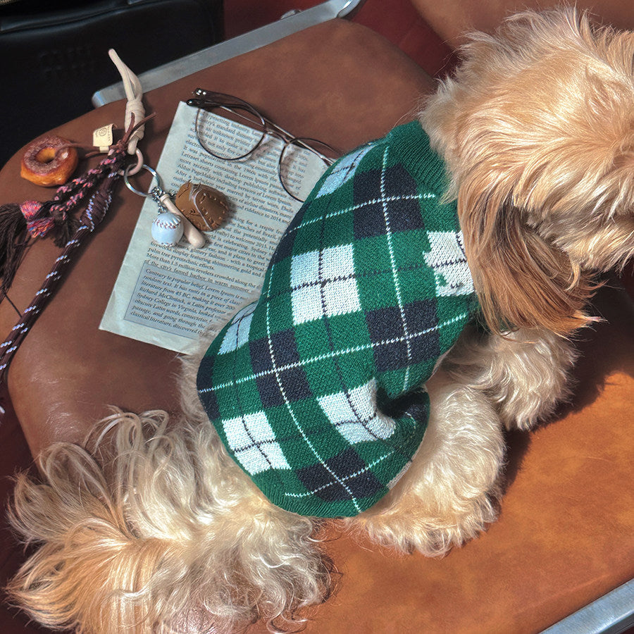 Preppy Red Christmas Pet Sweater | OEM Manufacturing