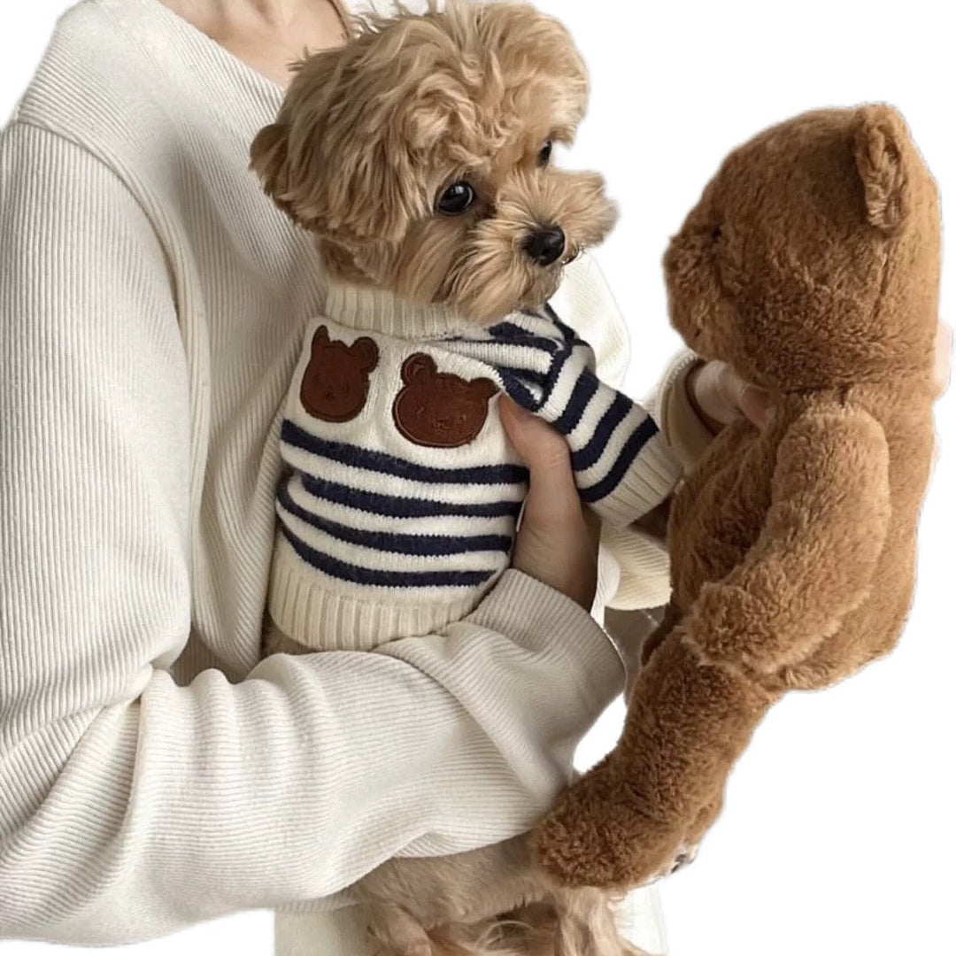 Lightweight Korean Style Pet Knit Sweater | OEM/ODM Available