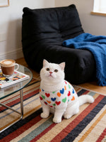 Load image into Gallery viewer, Double-Layer Heart Pattern Pet Sweater | Custom OEM Knitwear