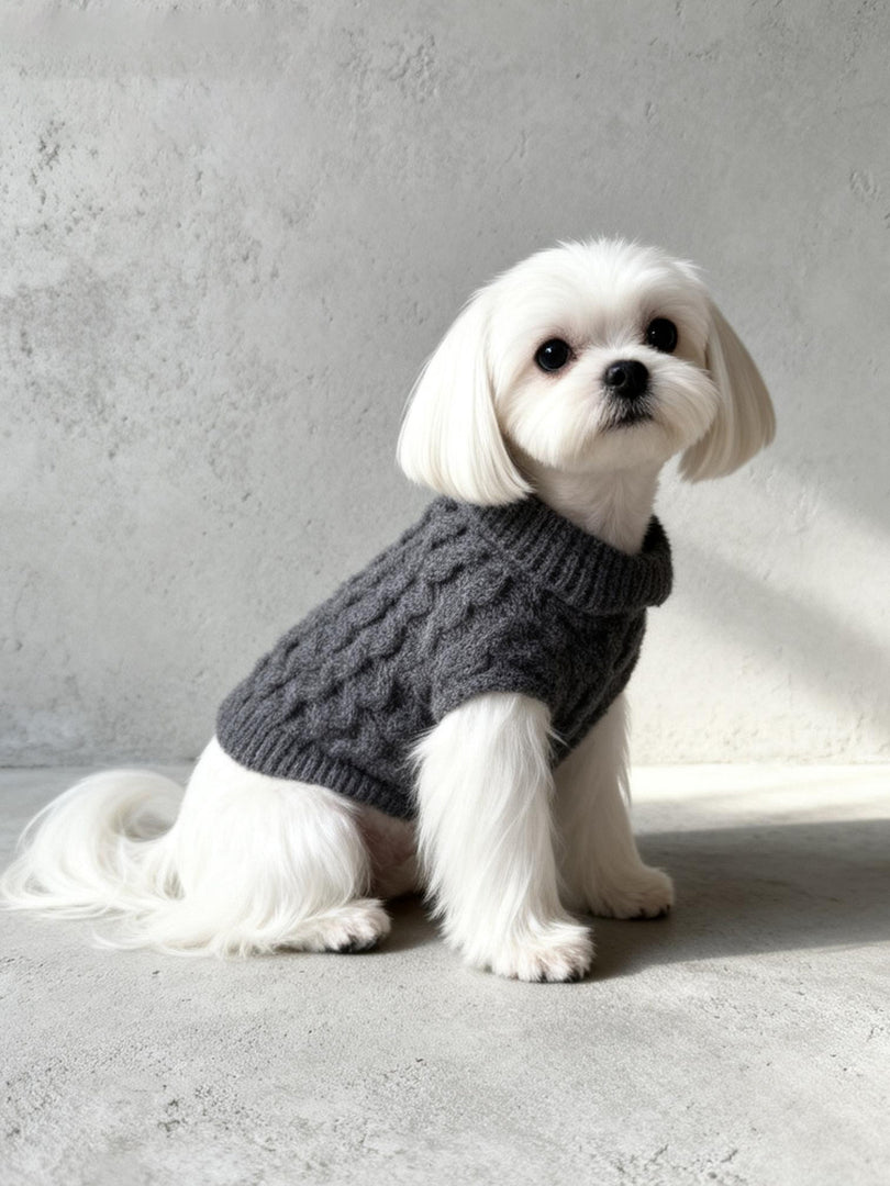 Solid Cable Knit Pet Sweater | Custom OEM/ODM Manufacturer